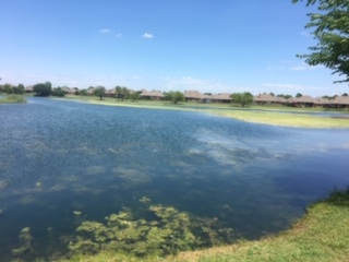 Before pond
